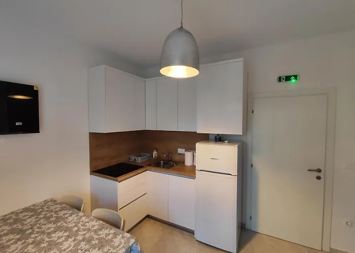 Διαμέρισμα Malo *